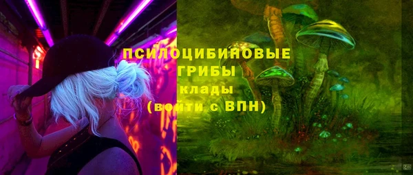 прущая мука Болхов